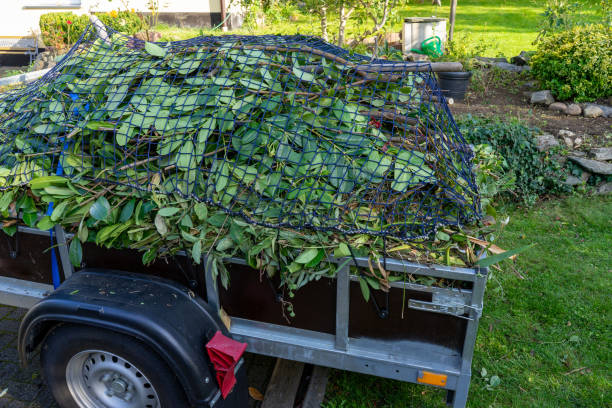 Best Shed Removal  in Salem, MO